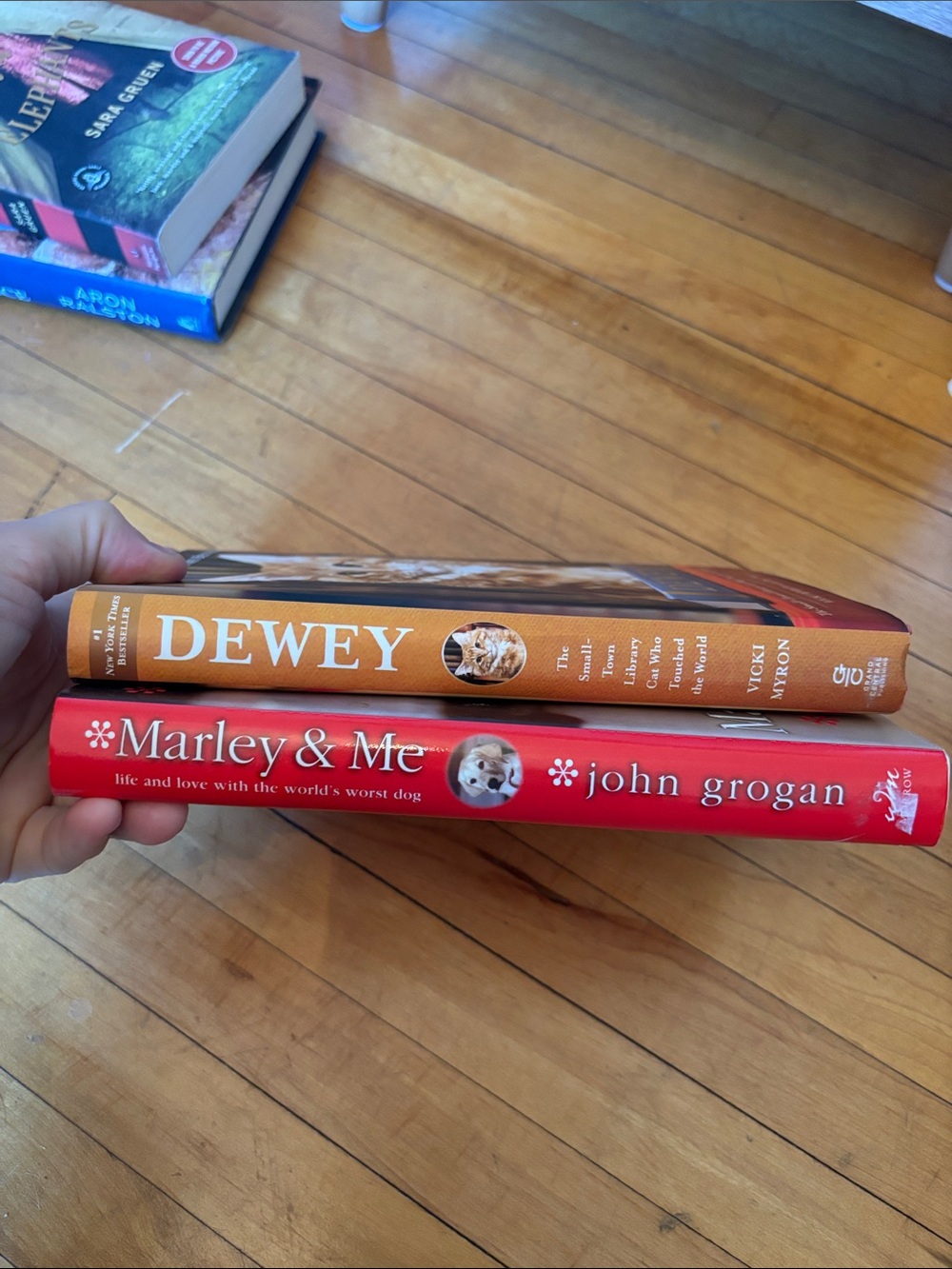 “Marley & Me” and “Dewey” hardcover books